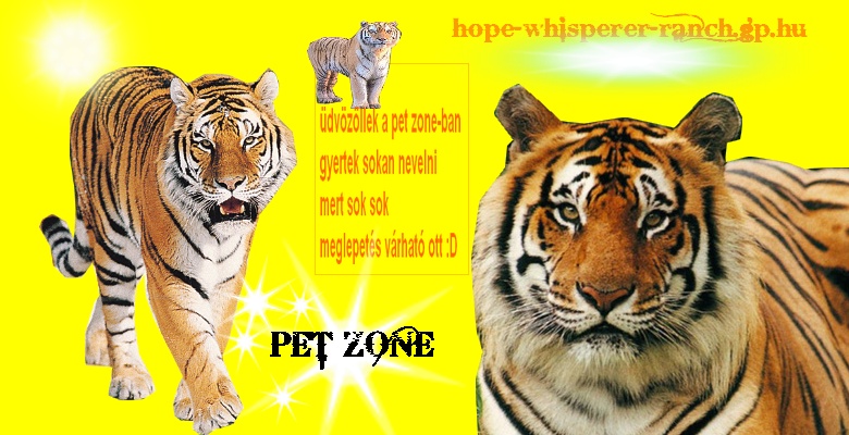 ~Pet Zone~